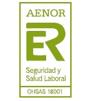 Aenor occupational safety