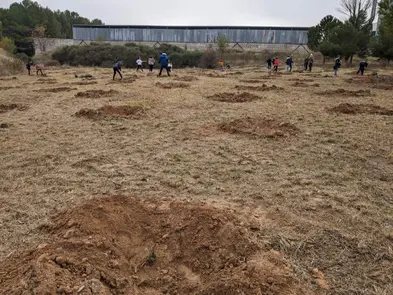 Plantación Tarazona