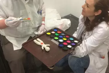 Arteria Terapia Psicoexpresiva